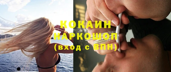 мет Алексин