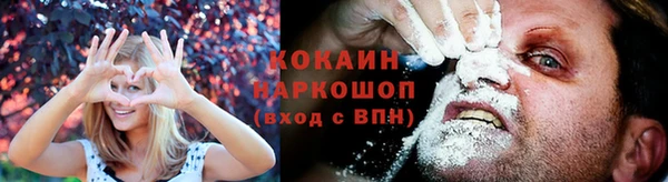 индика Алексеевка