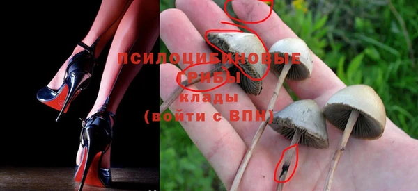 индика Алексеевка