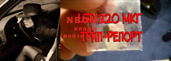 индика Алексеевка