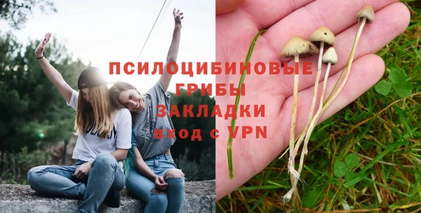 мет Алексин