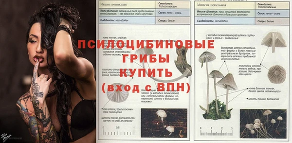 индика Алексеевка