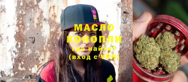 мет Алексин