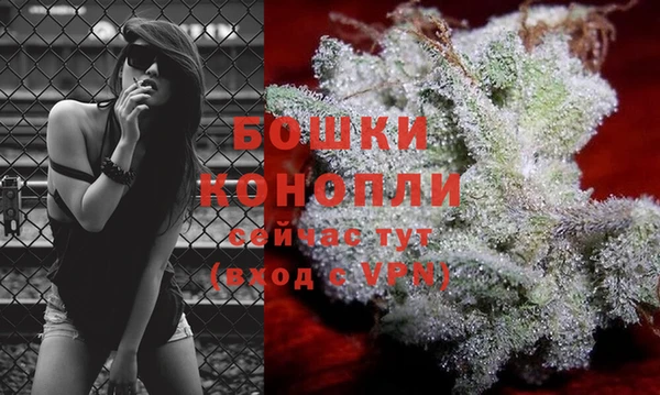 ALPHA PVP Касимов