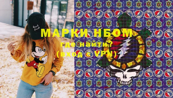 мет Алексин