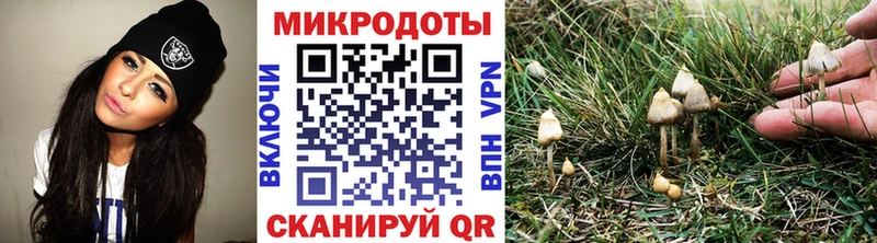 Галлюциногенные грибы мицелий  Пошехонье 